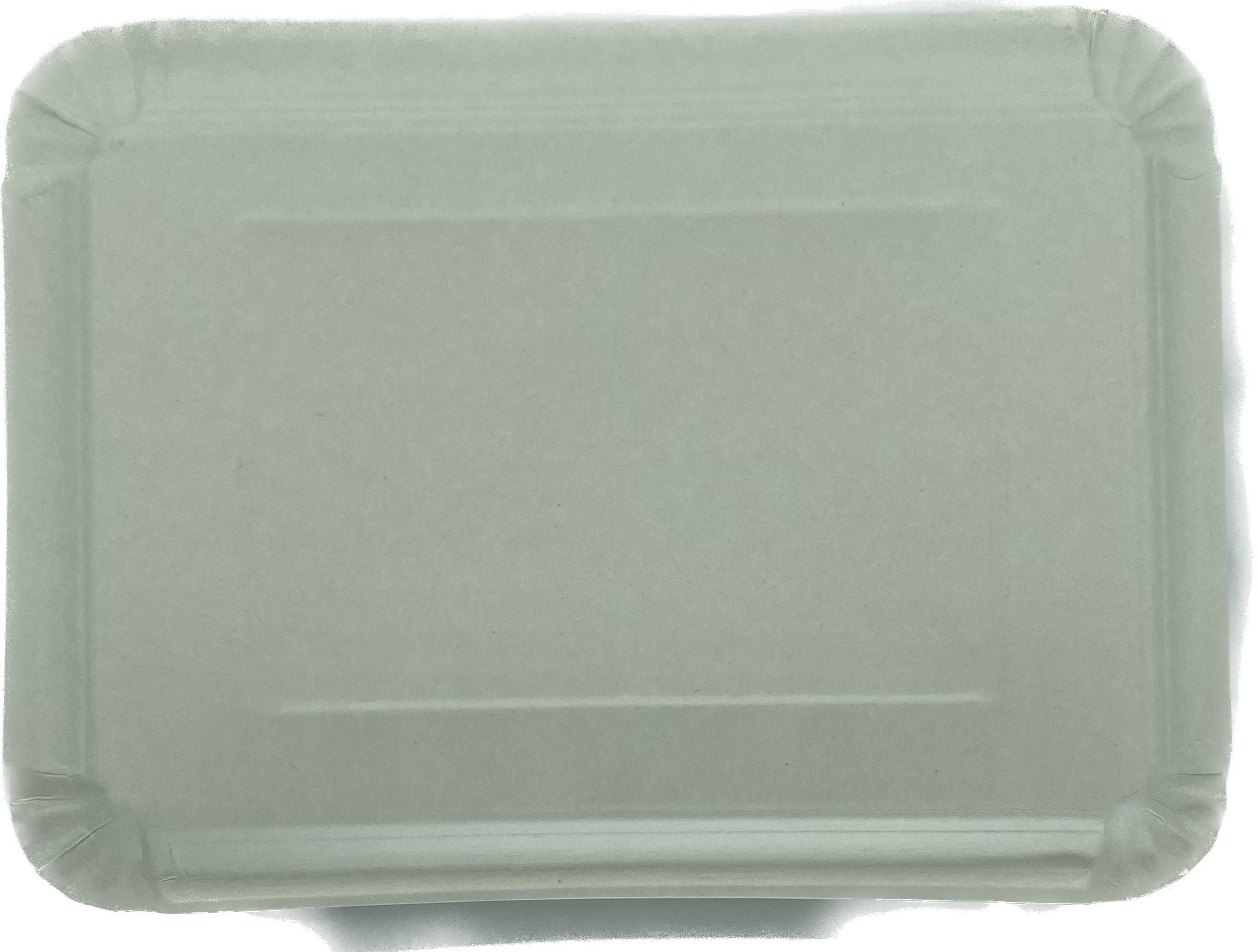 Pappteller 210 x 290mm, flach, weiß